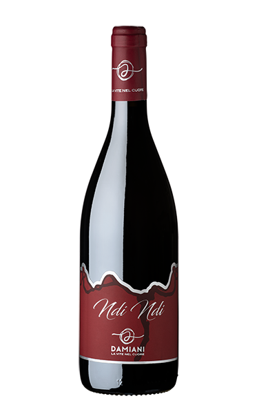 NDI NDI – MARCHE ROSSO (MONTEPULCIANO) CARTONE 6 BOTTIGLIE